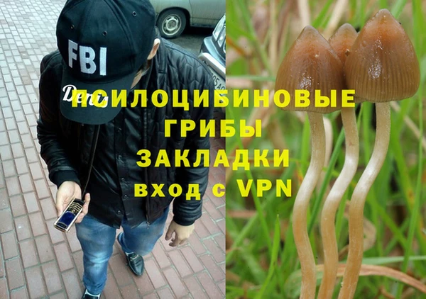 героин Алзамай