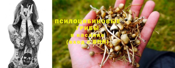 героин Алзамай