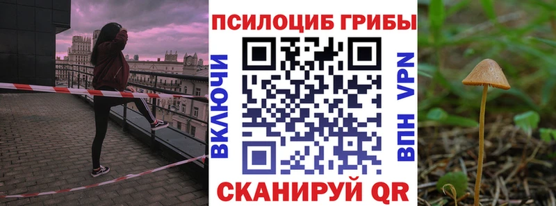 Псилоцибиновые грибы прущие грибы  дарк нет официальный сайт  Джанкой  даркнет сайт 